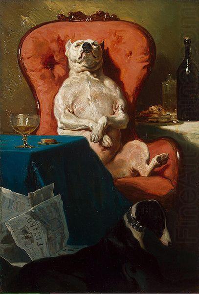 Pug Dog in an Armchair, Alfred Dedreux